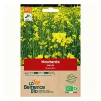 Graines de moutarde blanche bio 65g - Engrais vert