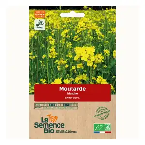 Graines de moutarde blanche bio 65g - Engrais vert