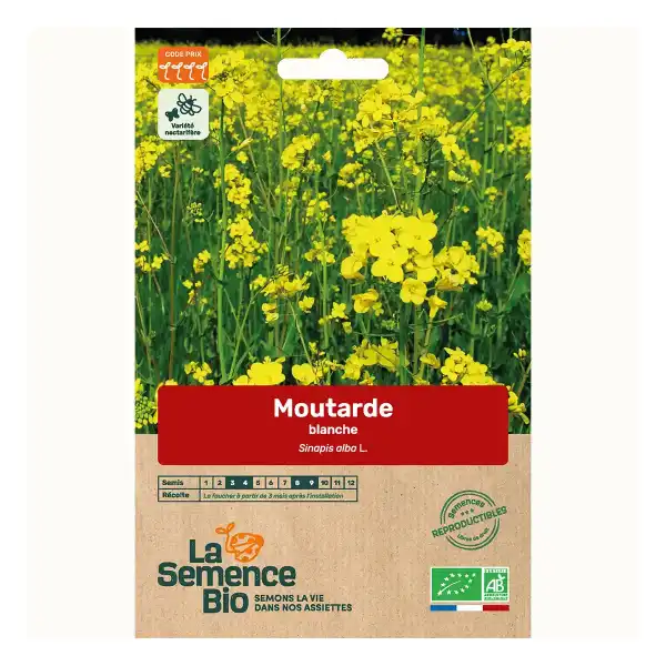 graines bio moutarde blanche