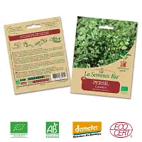 Persil Commun graine semence bio