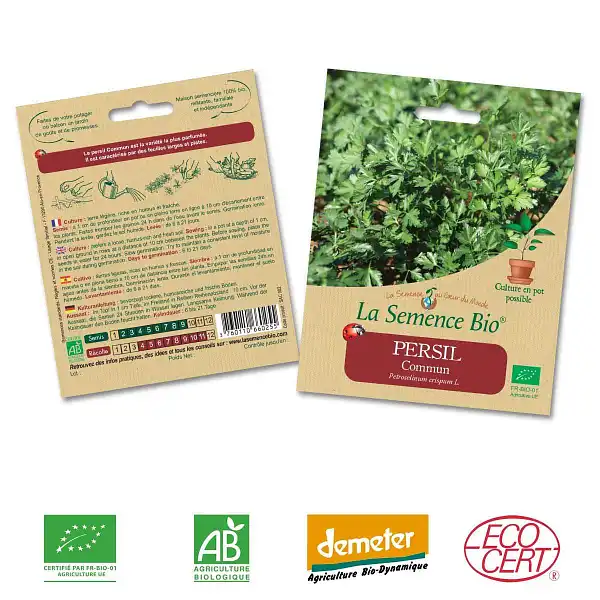 graines bio persil graines bio persil