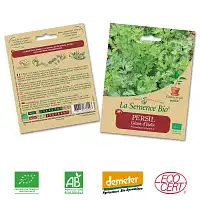 Persil Géant d'Italie graine semence bio