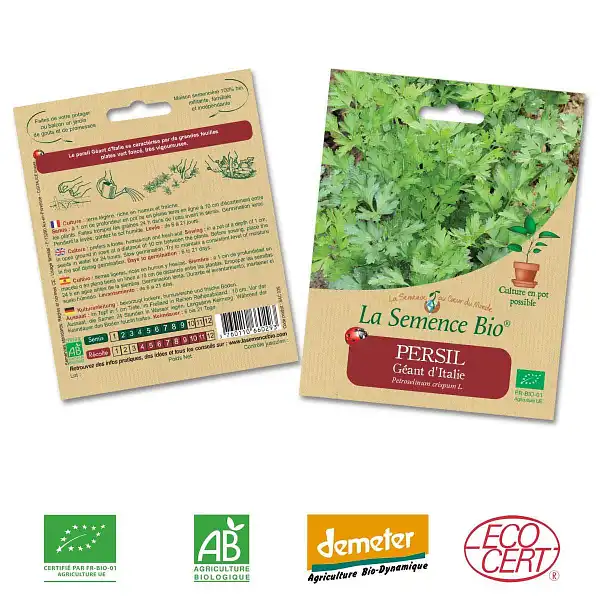 graines bio persil geant