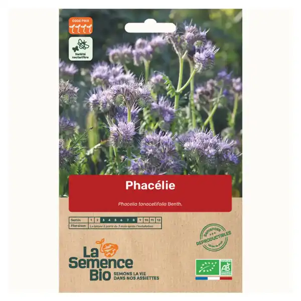 graines bio phacelie