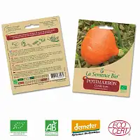 Potimarron Uchiki Kuri graine semence bio  Potimarron Uchiki Kuri graine semence bio