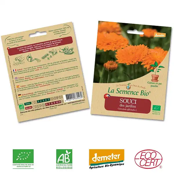 graines bio souci graines bio souci