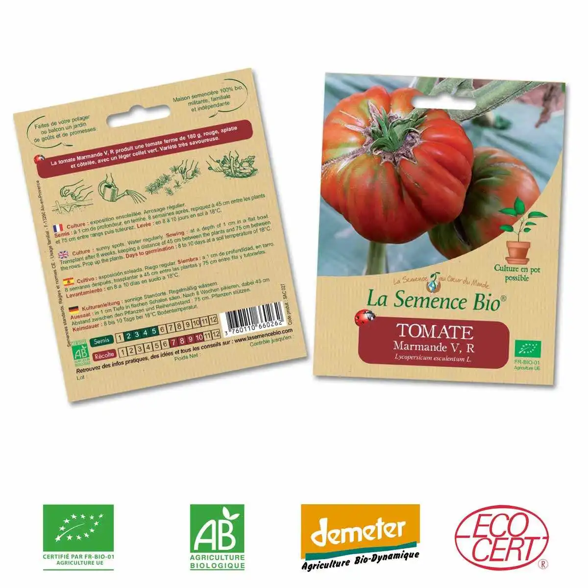 Tomate Marmande graine semence bio  Tomate Marmande graine semence bio