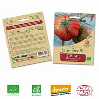 Tomate Marmande graine semence bio  Tomate Marmande graine semence bio