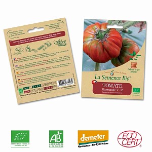Tomate Marmande graine semence bio