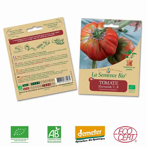 graines bio tomate marmande  graines bio tomate marmande