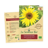 Tournesol géant - Graines semence bio