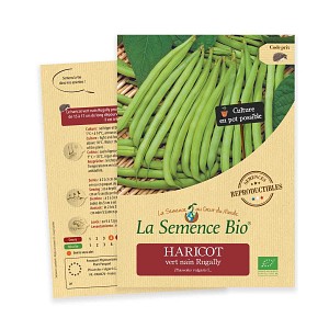 Haricot vert nain Rugally graine semence bio