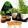 Kit pots en zinc et herbes aromatiques BIO