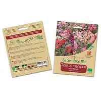 Pois de Senteur en mélange de graine semence bio