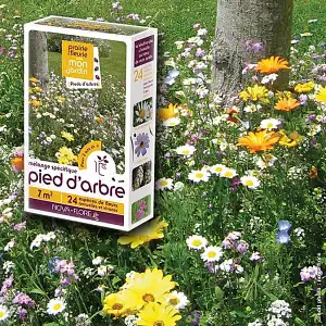 Prairie Fleurie - Pied d'arbre - mélange de graines - 7m2