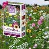 Prairie Fleurie - Coloré - graines de fleurs - 7m2
