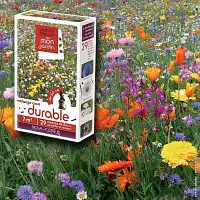 Prairie Fleurie - mélange durable de graines - 7m2  Prairie Fleurie - mélange durable de graines - 7m2
