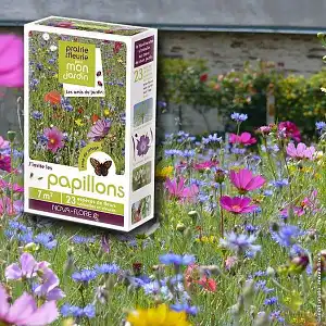 Prairie Fleurie - Fleurs amies des papillons - 7m2