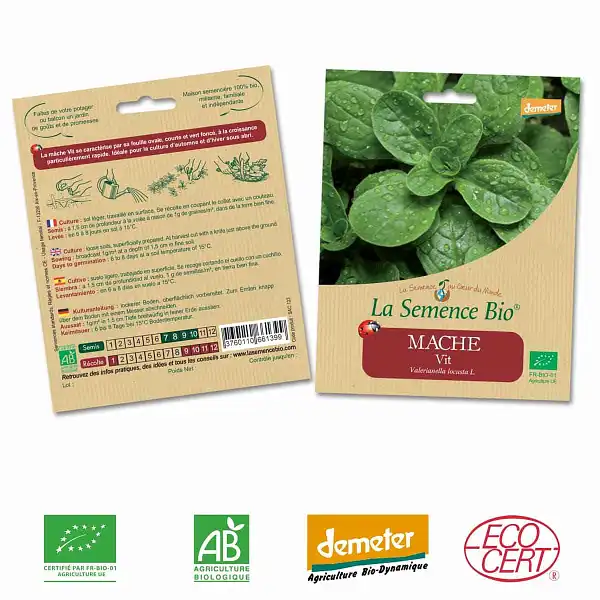 graines salade mache