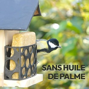 Graisse végétale pour oiseaux sans huile de palme