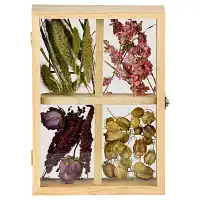 Cadre double face pour fleurs séchées 30cm - Taille L
