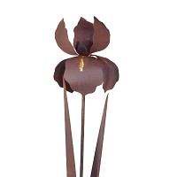 Décoration de jardin - Iris en métal rouillé 110cm