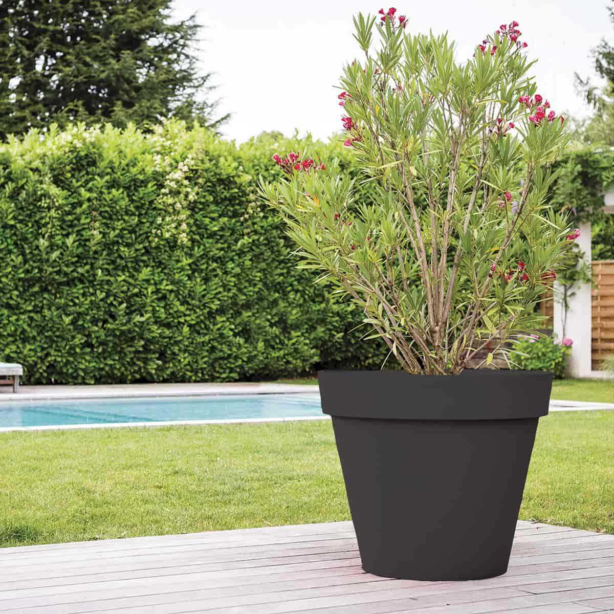 Grand Pot De Fleurs XXL En Plastique Vente Au Meilleur Prix