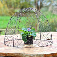 Cloche de protection en grillage à poule haut.36cm