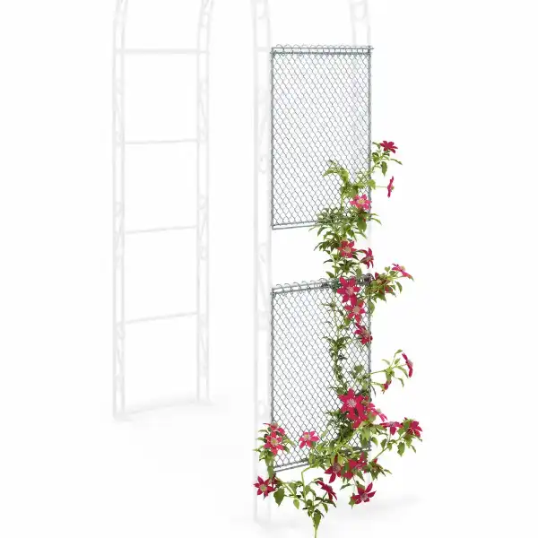 grille support grimpante arche