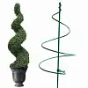 Taille buis spirale 100cm