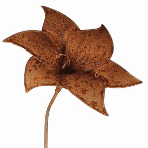 Tuteur fleur Amarylis en fer brut 31cm