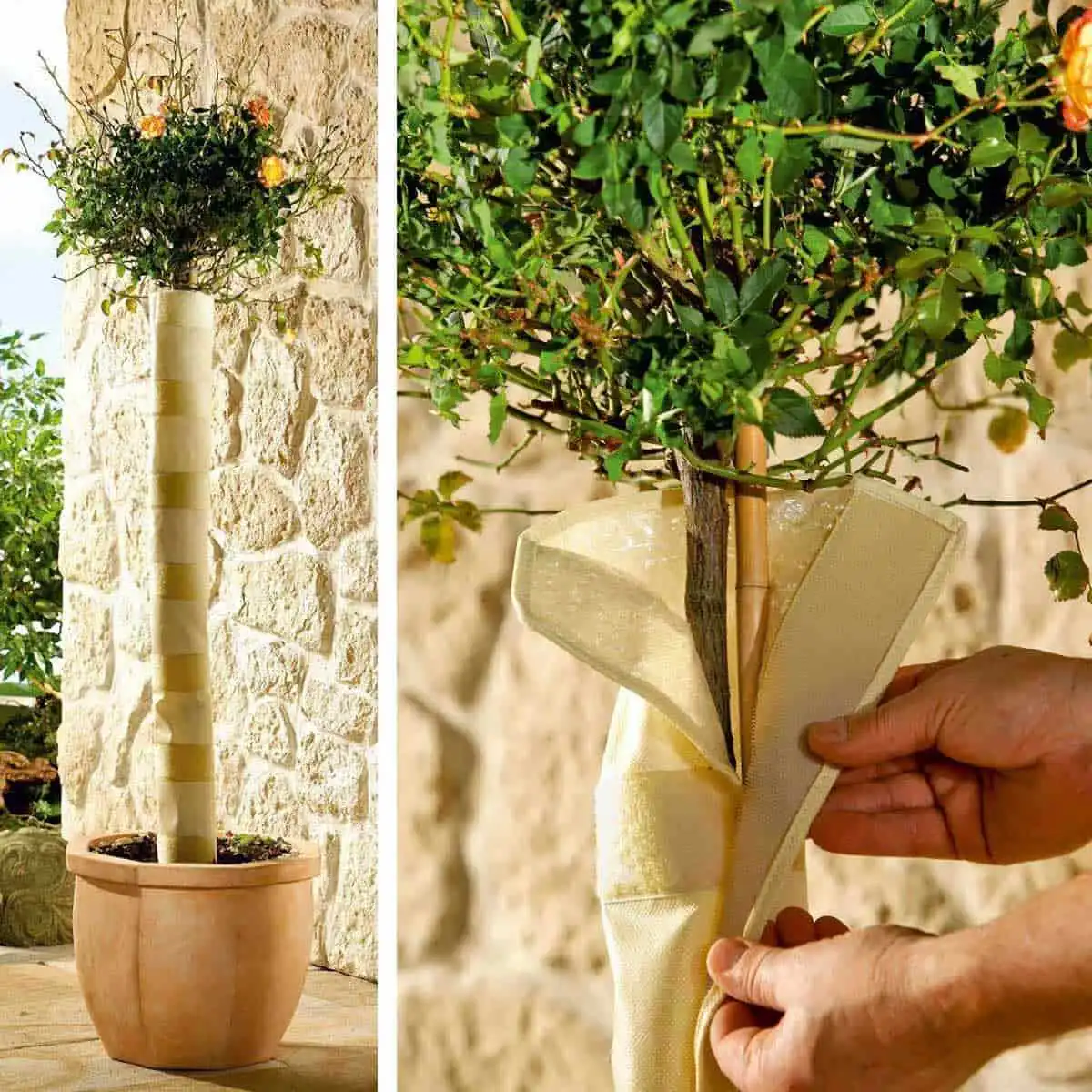 Housse protection tronc d'arbre  Housse protection tronc d'arbre