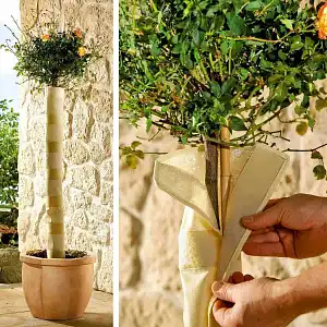Housse protection tronc d'arbre