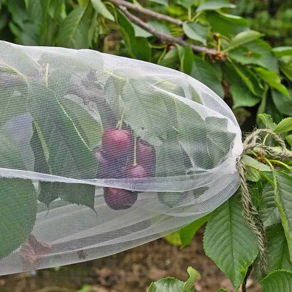 housse protection fruits housse protection fruits