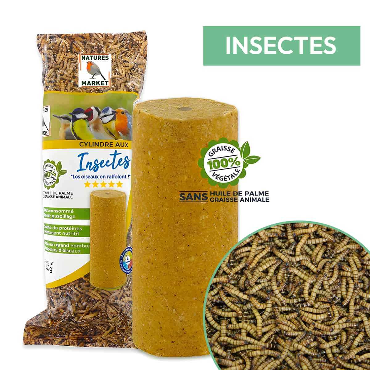 insectes cylindre graisse oiseaux