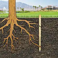 Piquet creux arroseur pour arbres  Piquet creux arroseur pour arbres