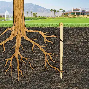 Piquet creux arroseur pour arbres