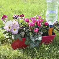 Arrosage automatique goutte a goutte IRISO kit jardinière  Arrosage automatique goutte a goutte IRISO kit jardinière