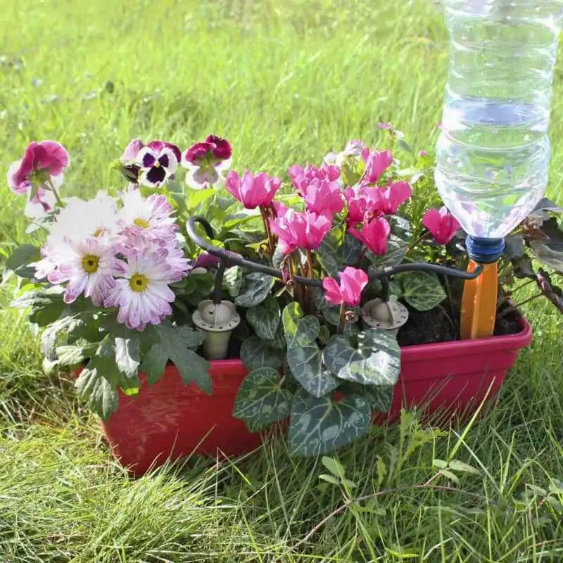 Arrosage automatique goutte a goutte IRISO kit jardinière  Arrosage automatique goutte a goutte IRISO kit jardinière