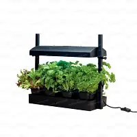 Potager d'intérieur à lampe de croissance horticole