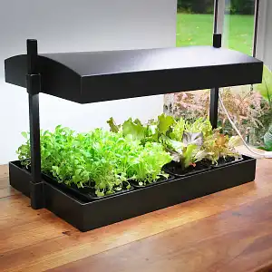 Potager d'intérieur à lampe de croissance horticole
