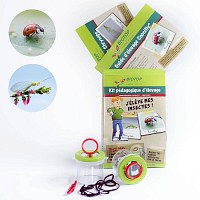 Kit pédagogique d'élevage de coccinelles et chrysopes