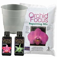 Kit de rempotage Orchidée - pot 15cm