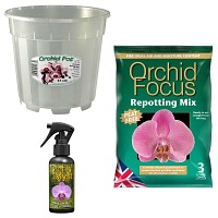 Kit de rempotage Orchidée - pot 17cm