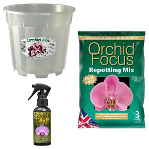Kit de rempotage Orchidée - pot 17cm