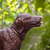 Statue Chien Labrador en bronze - Sculpture animaux de jardin - L. 115 x l. 30 x H. 70cm