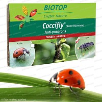 15 Larves de coccinelle contre pucerons