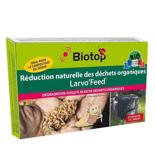 larves mouche soldat composteur  larves mouche soldat composteur