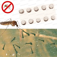 Larvicide Anti moustique biodegradable 10 pastilles LarvoMax