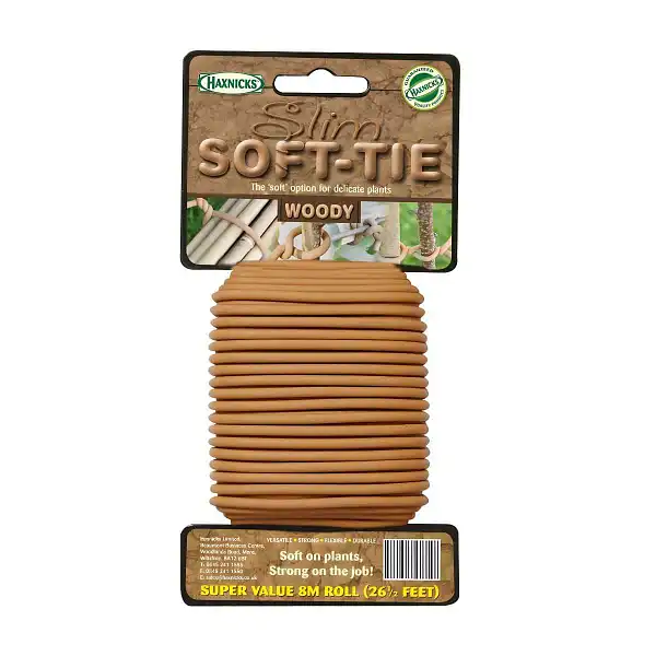 lien doux arbuste branche